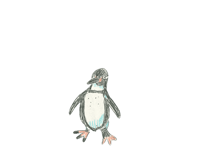 Animated Penguin Hand-drawn Illustration